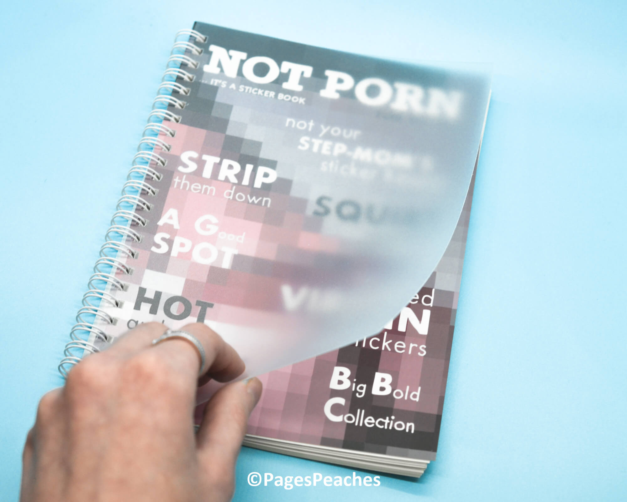 Not Porn Reusable Sticker Keeper - Pages Peaches